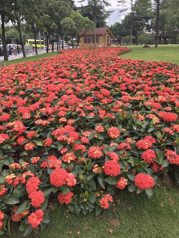 Guangzhou Casa River Hotel Dış mekan fotoğraf
